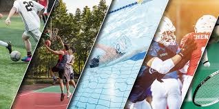 41岁罗本已成为职业板网球手，拥有3个积分世界排名第1980位