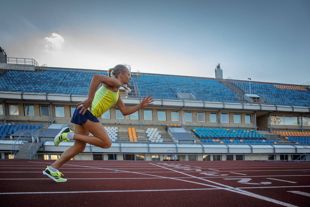 大谷翔平的宠物犬“Decoy”在领奖时意外走红，成为棒球界最知名的萌宠